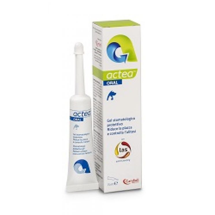 Actea Oral gel Stomatologico 15ml